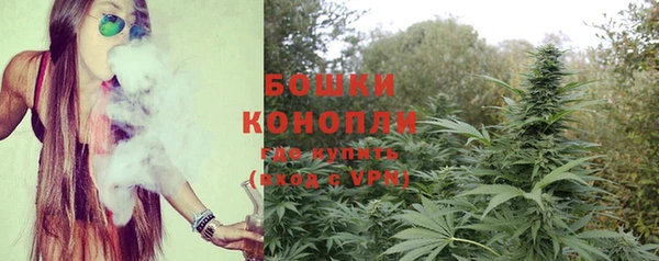 прущая мука Богданович