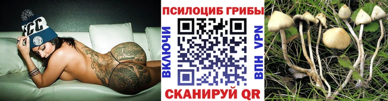 Галлюциногенные грибы Magic Shrooms  Краснознаменск 